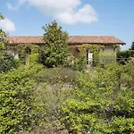 La Corte Di Langa Agata * Albaretto della Torre