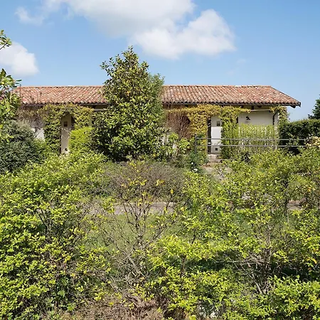 La Corte Di Langa Agata * Albaretto della Torre